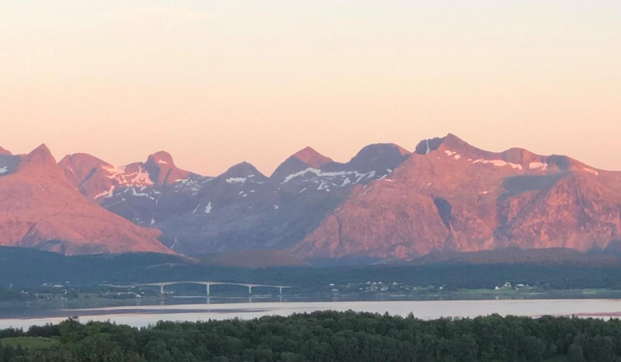 Flott Utsikt, Rolig Gate Daire Bodø Dış mekan fotoğraf