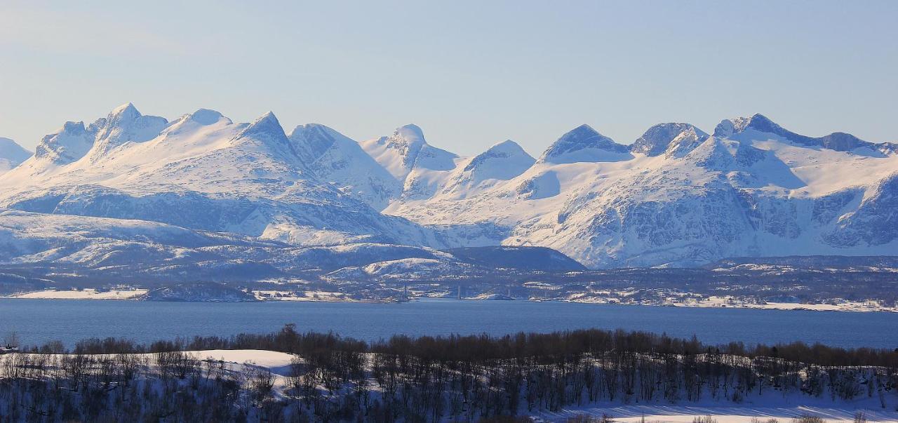 Flott Utsikt, Rolig Gate Daire Bodø Dış mekan fotoğraf